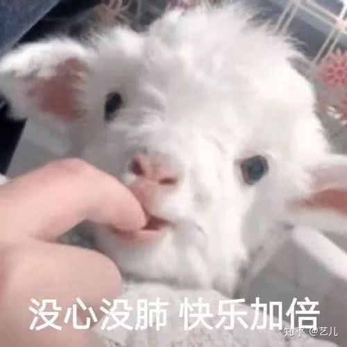  我的深覆合正畸历程