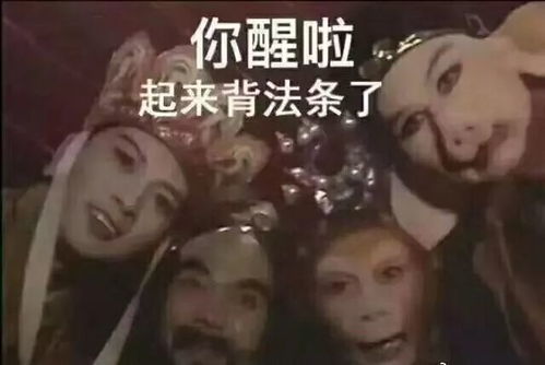  前方高能一大波考研表情包来袭笑到头秃......