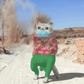  合集奇怪的表情包又增加了mur猫表情包3d版