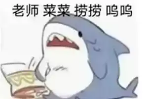  老师菜菜捞捞是什么梗详情