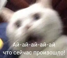  青春里最撩的事是什么