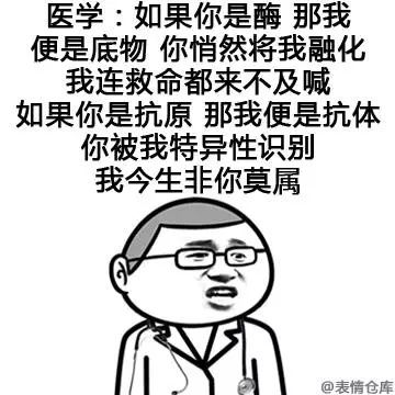  520学霸表白表情包