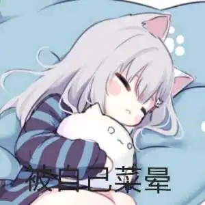 哔哩哔哩专栏