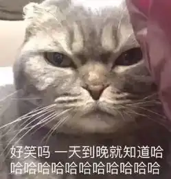  斗图表情包大更新