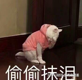  为什么我在网易云音乐里面下载歌曲,有些歌曲只能用网易云音乐播放求解