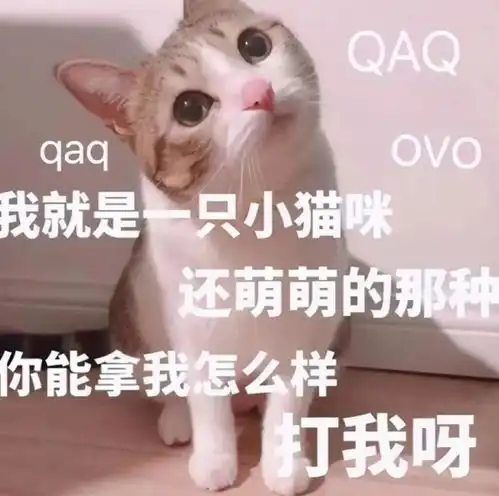  无标题
