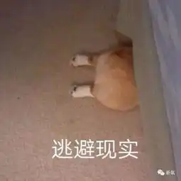  沈梦辰也太心机了偷偷穿皮裤把同台女主持变成她伴舞