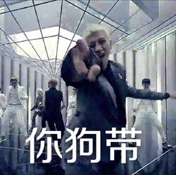  527272064欢迎进入exo黑粉群大家可以进入,行星饭绕道,