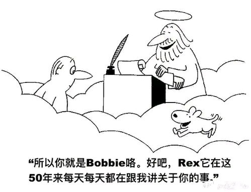  20梗图,沙雕图,memes,天堂笑话,表情包,搞笑图片日更侵删除夕快乐哔哩哔哩