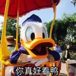  今天也要加油鸭表情包唐老鸭加油鼓励表情包