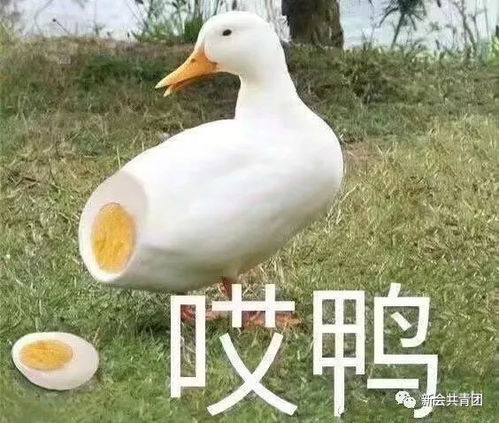  快开学了,你知道吗