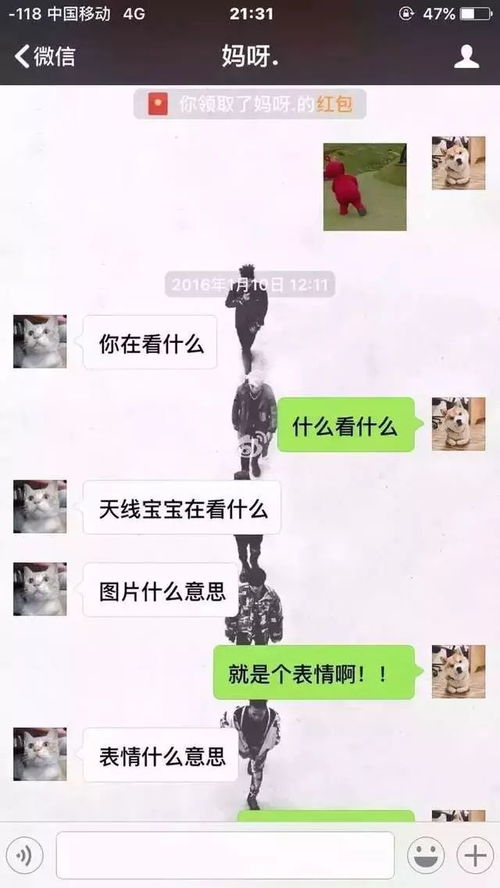  你以为父母不会用表情包那你就错了他们在表情包领域简直独树一格特别是在......哈哈哈哈