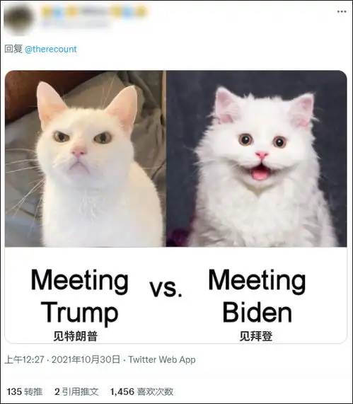  特朗普vs拜登女翻译表情变化亮了