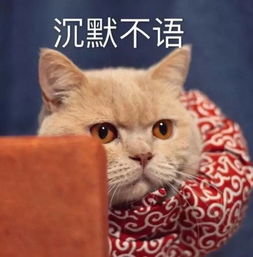  我妈不让我跟傻子玩
