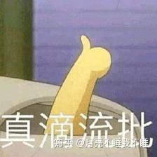  纽翠斯新出的黑钻太平洋鱼猫粮怎么样