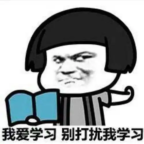 成绩100分表情包石头