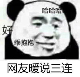  熊猫头表情包不说晚安了,我要和你一起睡觉