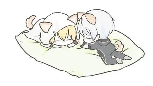  图片