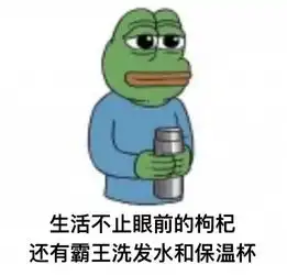  生活不止眼前的枸杞,还有100块能承包一整年的仪式感