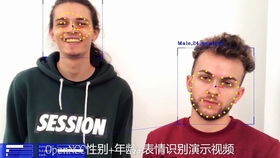  性别年龄表情识别模型