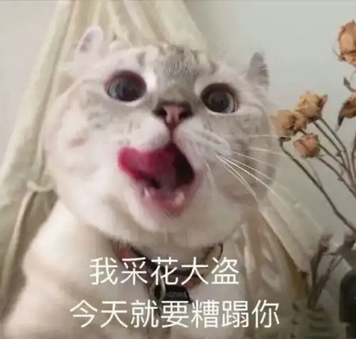  忍不住大笑的文案