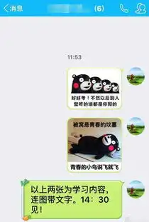  高校辅导员罚翘课学生抄熊本熊表情包