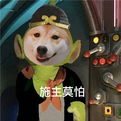  柴犬版新西游记搞笑表情包