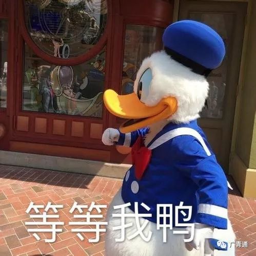  青姿采欢迎来到色彩斑斓的广青