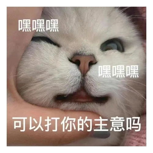  表情包一组有趣的表情包45期