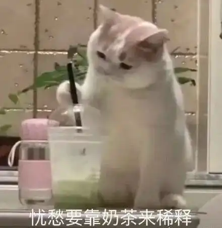  网友的算命经历,这反差也太大了吧