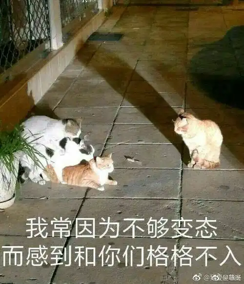  哈哈哈