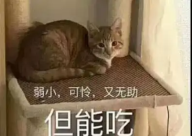  端午假期看什么吃货们不可错过的欢乐动画来啦