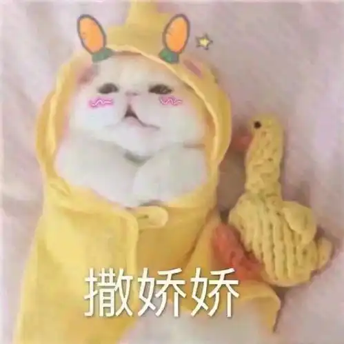  前方核能传媒学院迎新晚会倒计时3天啦