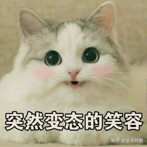  注册公司后一定要开公户吗
