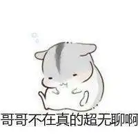  哥哥妹妹表情包微信头像图片大全