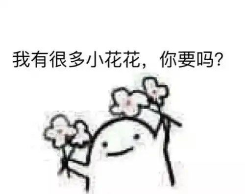 小黄脸表情包花棉袄上天