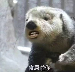  居然不伺候我爸妈爷也不是好惹的,给我滚蛋直播极品相亲男全过程...