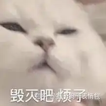  有没有那种可爱但是是用来骂人的表情包