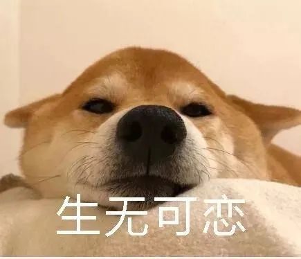  再上4天班,济宁人将集体放假