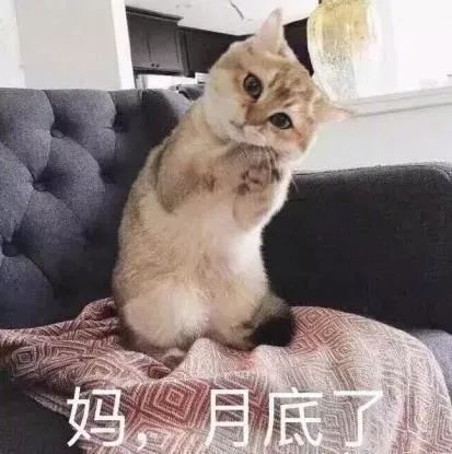  双十二过去,你的钱包可还好