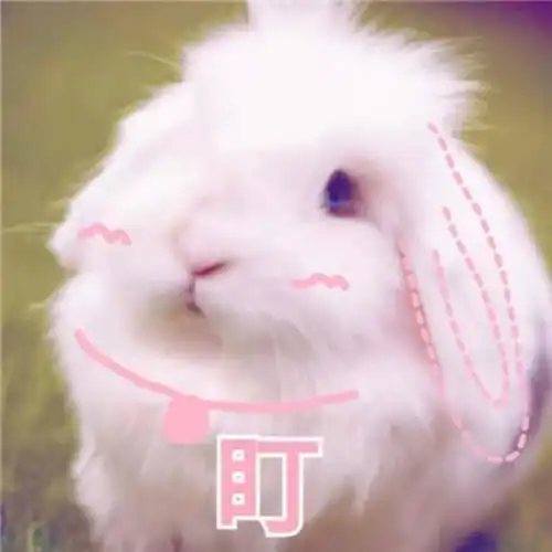  必看网课在家自律即自由