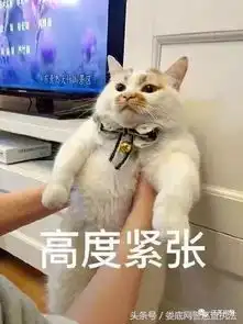  信用卡逾期将被冻结这样的短信别再信了