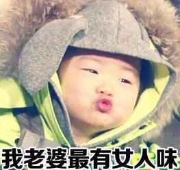  宋民国装逼老婆系列表情包