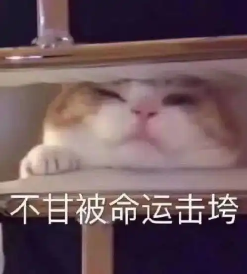突然惊慌表情包绝育