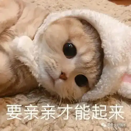 憨憨表情包图片陈奕辰