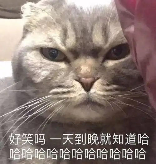  爱用表情包合集