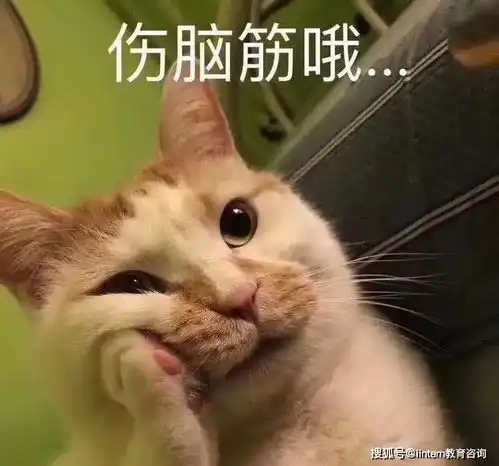 二月二剪头发表情包小动