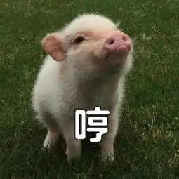 聊天污图表情包合集