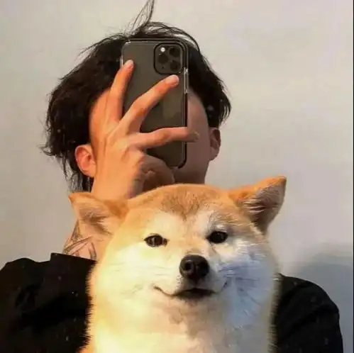  头像微信头像yyds