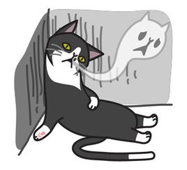  孤单的黑猫表情包